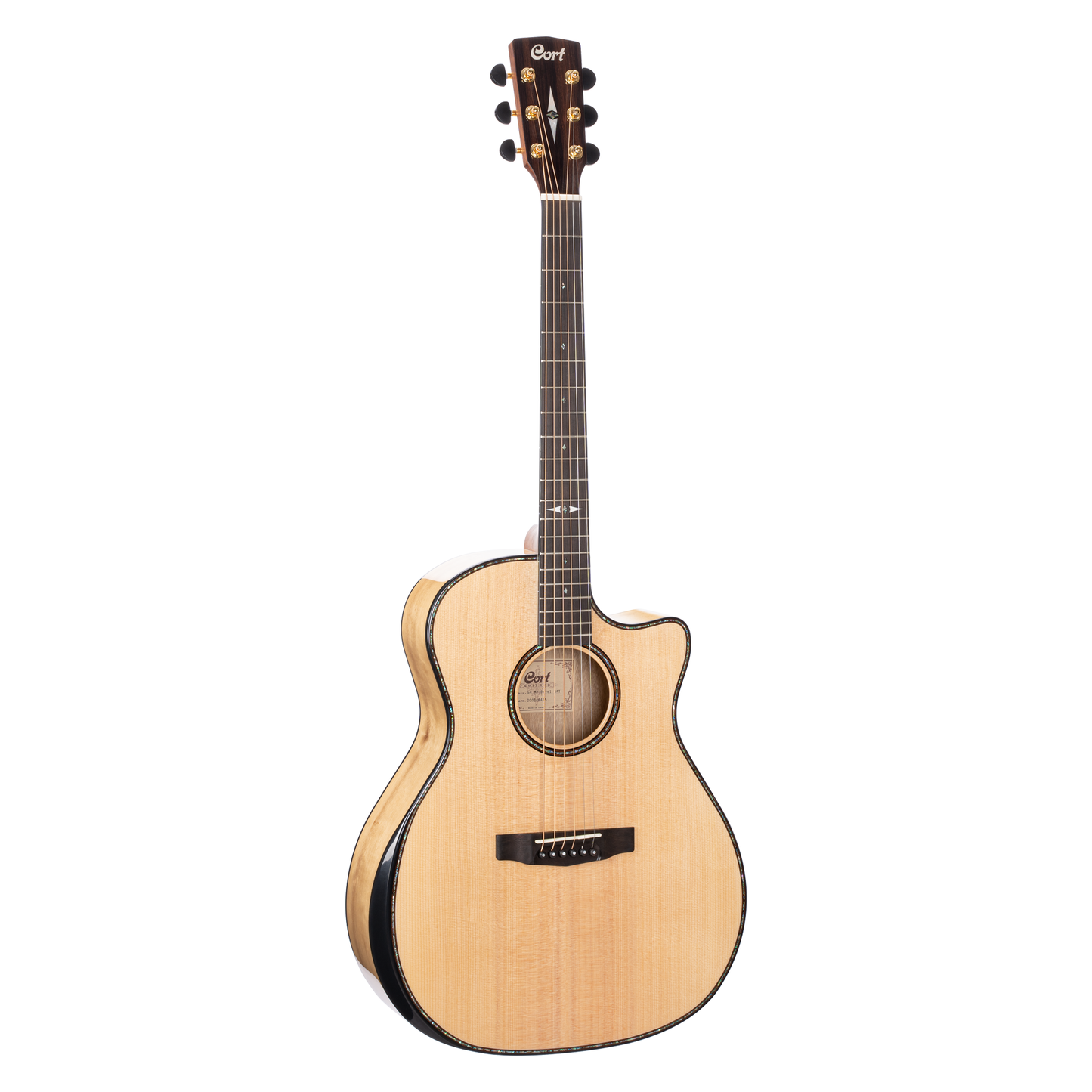 COGAMYBVN_web_original