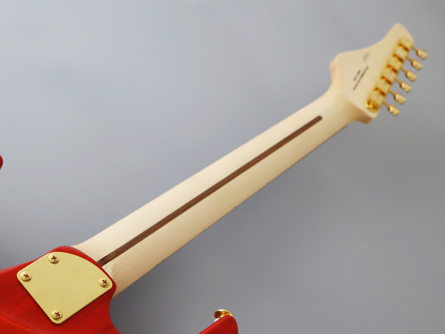 FGN E-Gitarre, Expert Odyssey FM, Ripe Kaki Gradation, Koffer, FGEOS2FMRRKG