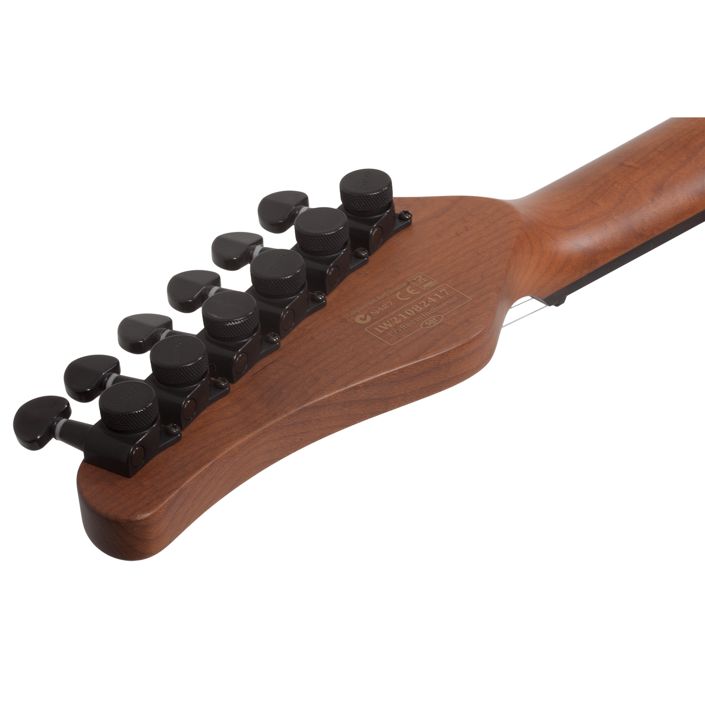 SCHECTER electric guitar, Damien Platinum-6, Satin Black, SC1181