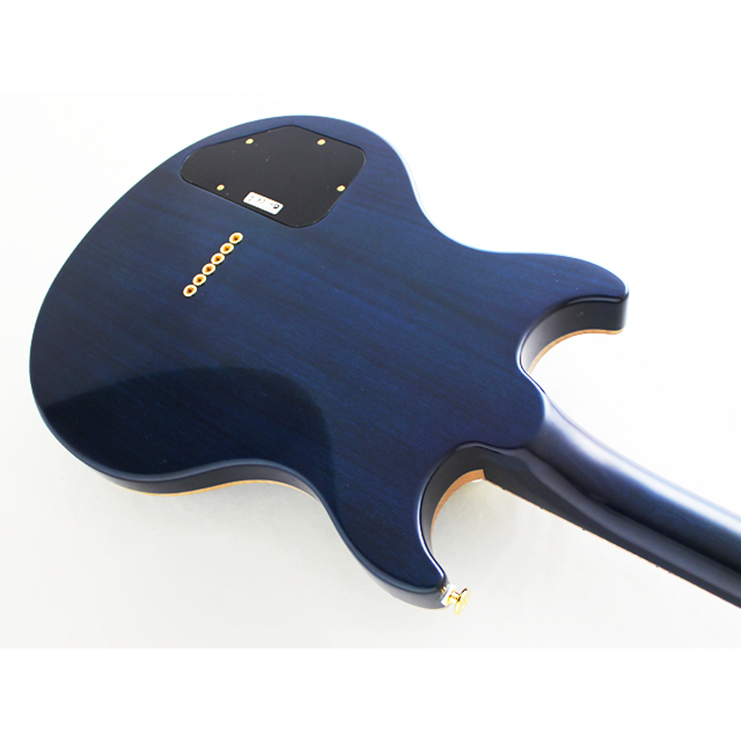 FGN E-Gitarre, Expert Rise Michael Sagmeister Special Edition