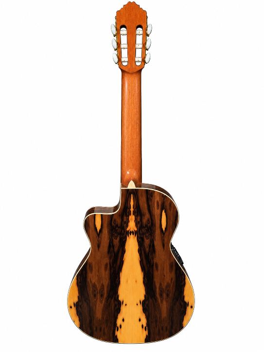 Classical guitar APC, solid, PAAGTC10RW1