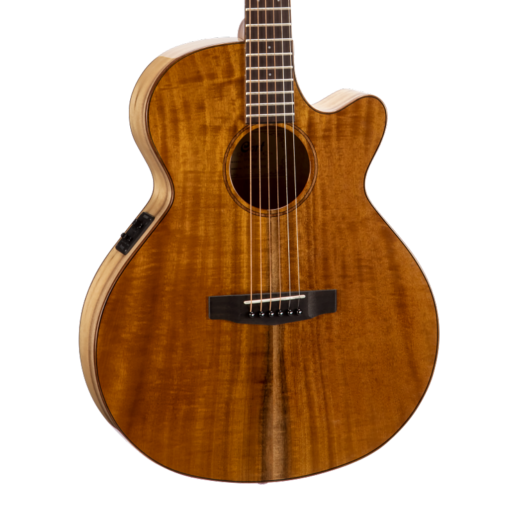 COSFXMYRTLEN_web_original-1