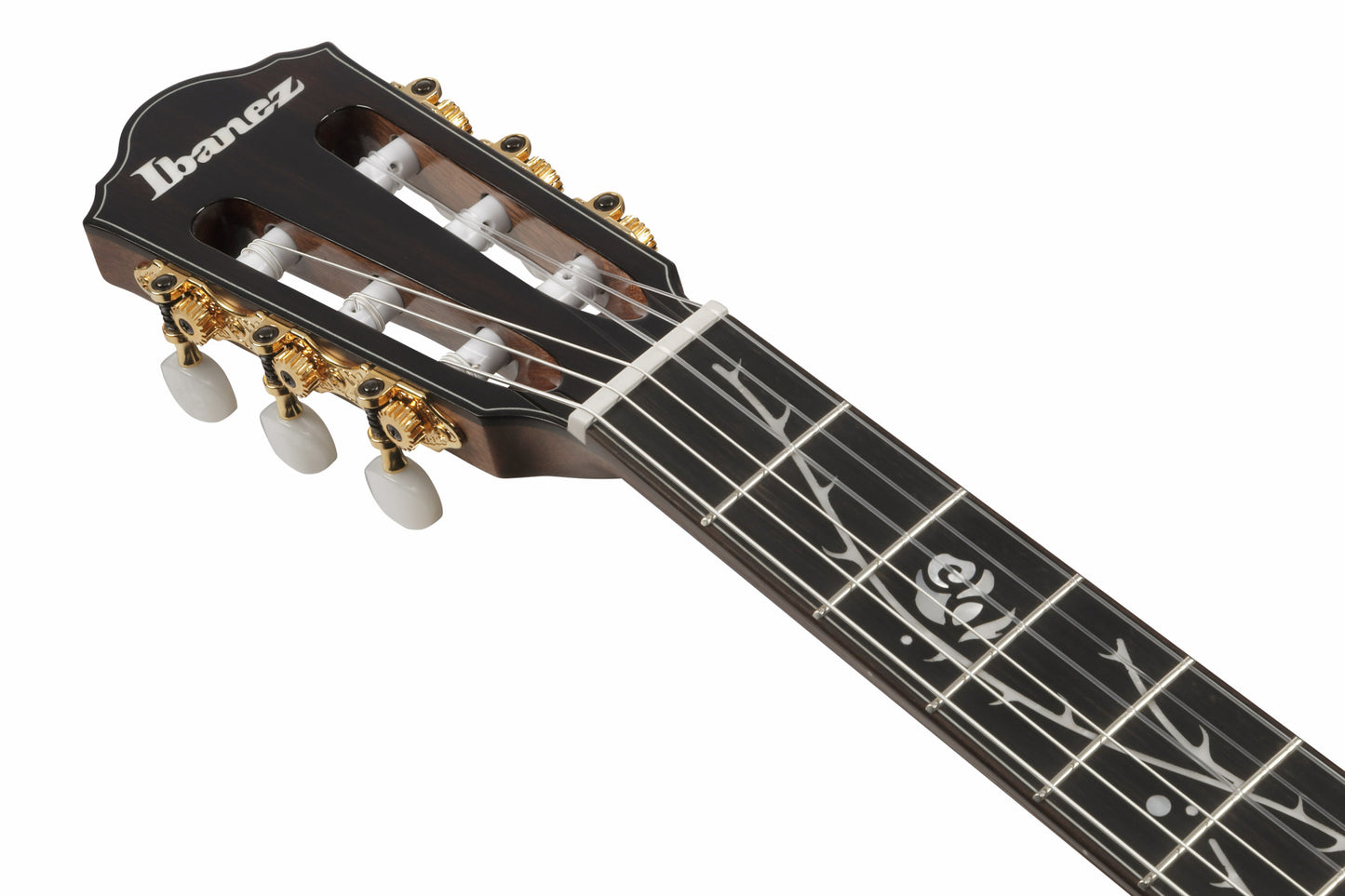 IBANEZ electro-acoustic concert ukulele made of Macassar ebony with cutaway dark brown open pore, UEW13M