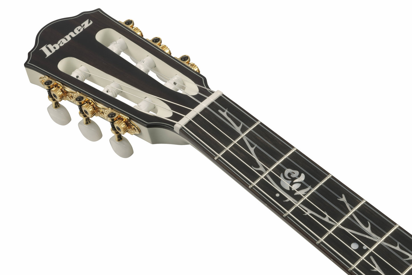 IBANEZ electro-acoustic concert ukulele made of Macassar ebony with cutaway dark brown open pore, UEW13M