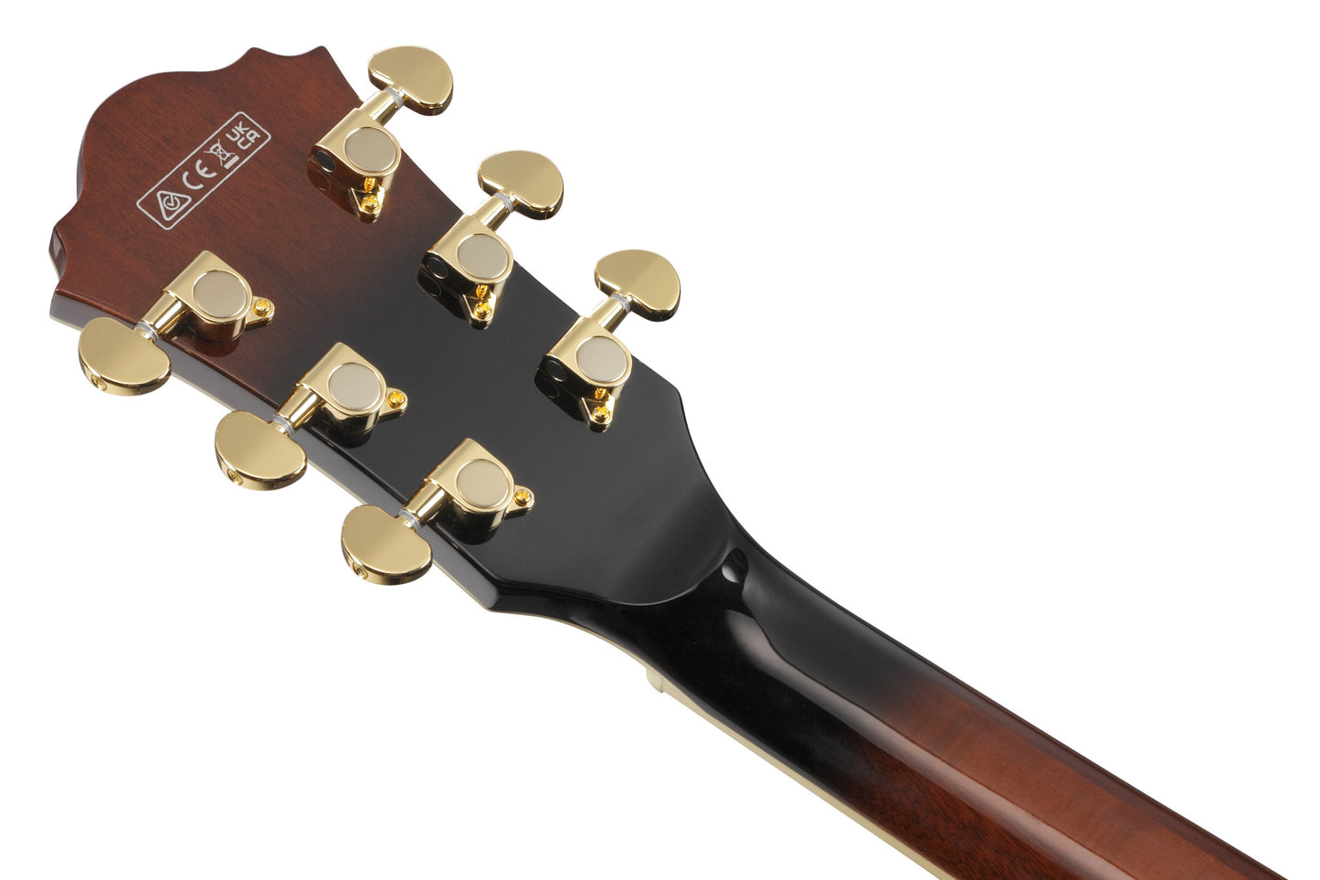 IBANEZ RG Series Electric Guitar 6 String Dragon Eye Burst Flat, RGA42FMDEF