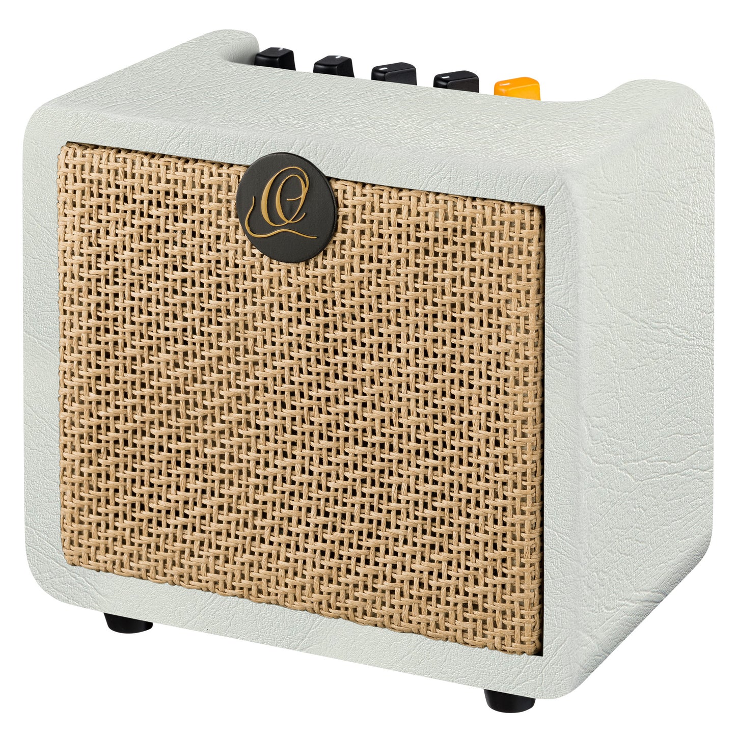 PTWO-LTD ORTEGA Amplification Series Bluetooth-Verstärker/Lautsprecher mit Effekten – 12 Watt