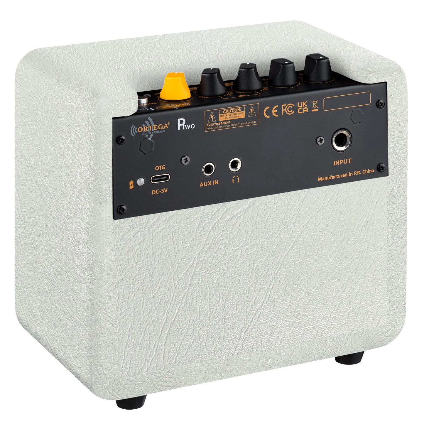 PTWO-LTD ORTEGA Amplification Series Bluetooth-Verstärker/Lautsprecher mit Effekten – 12 Watt