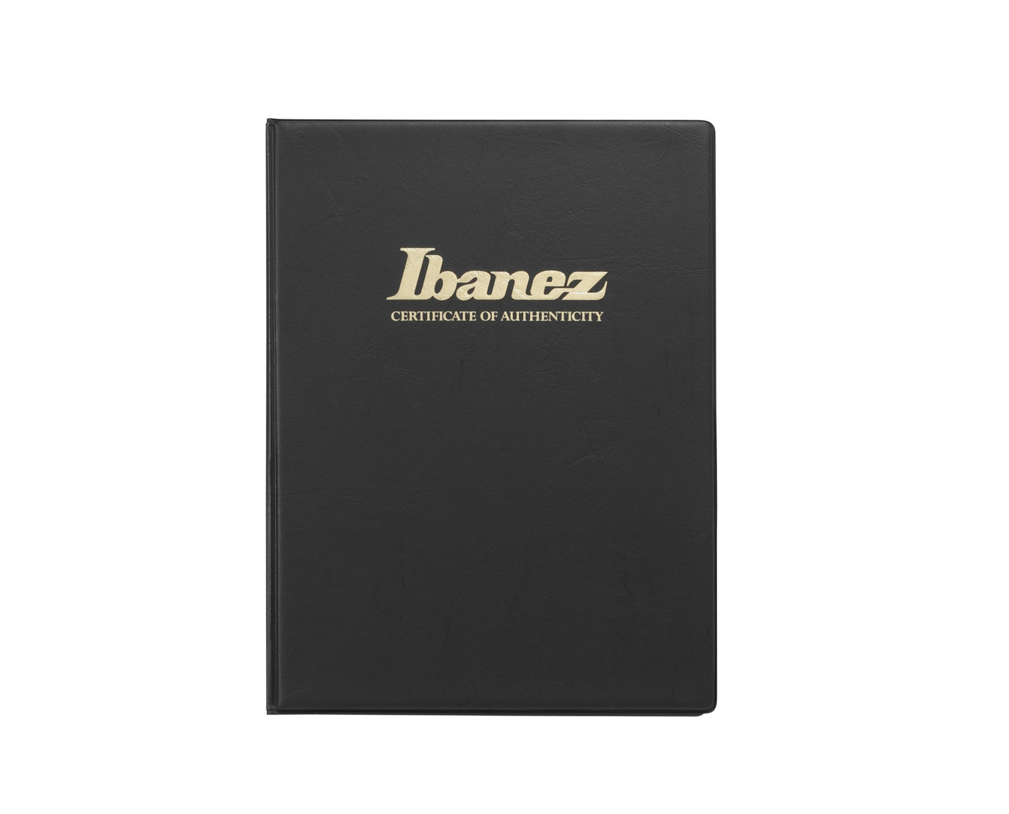 IBANEZ RG Series Electric Guitar 6 String Antique Brown RG421HPAMA