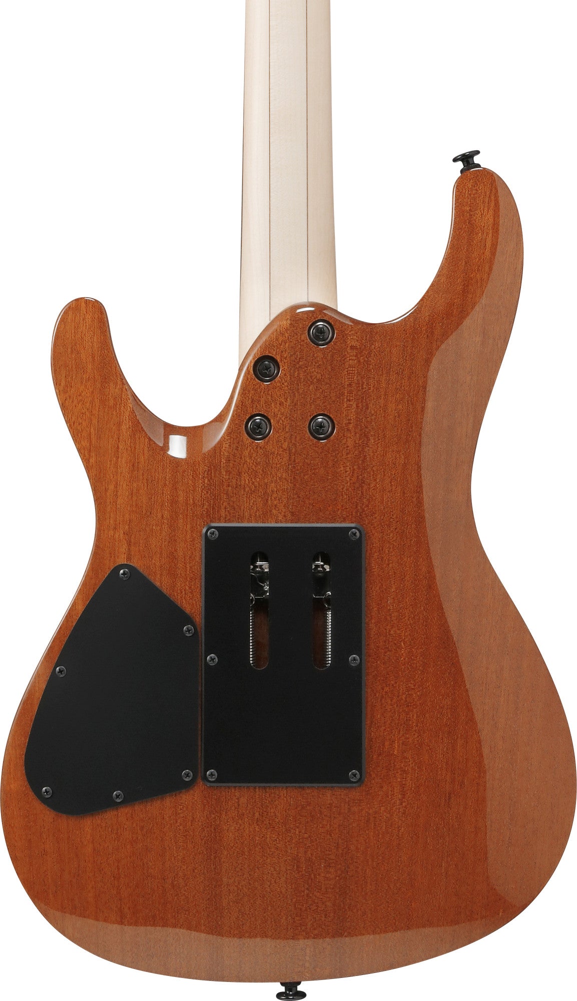 IBANEZ RG Series Electric Guitar 6 String Antique Brown RG421HPAMA