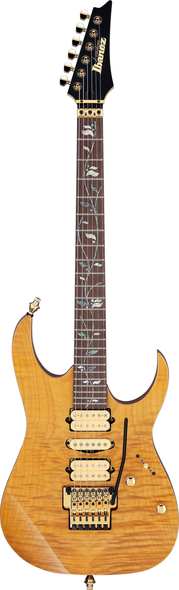 IBANEZ RG Series Electric Guitar 6 String Antique Brown RG421HPAMA