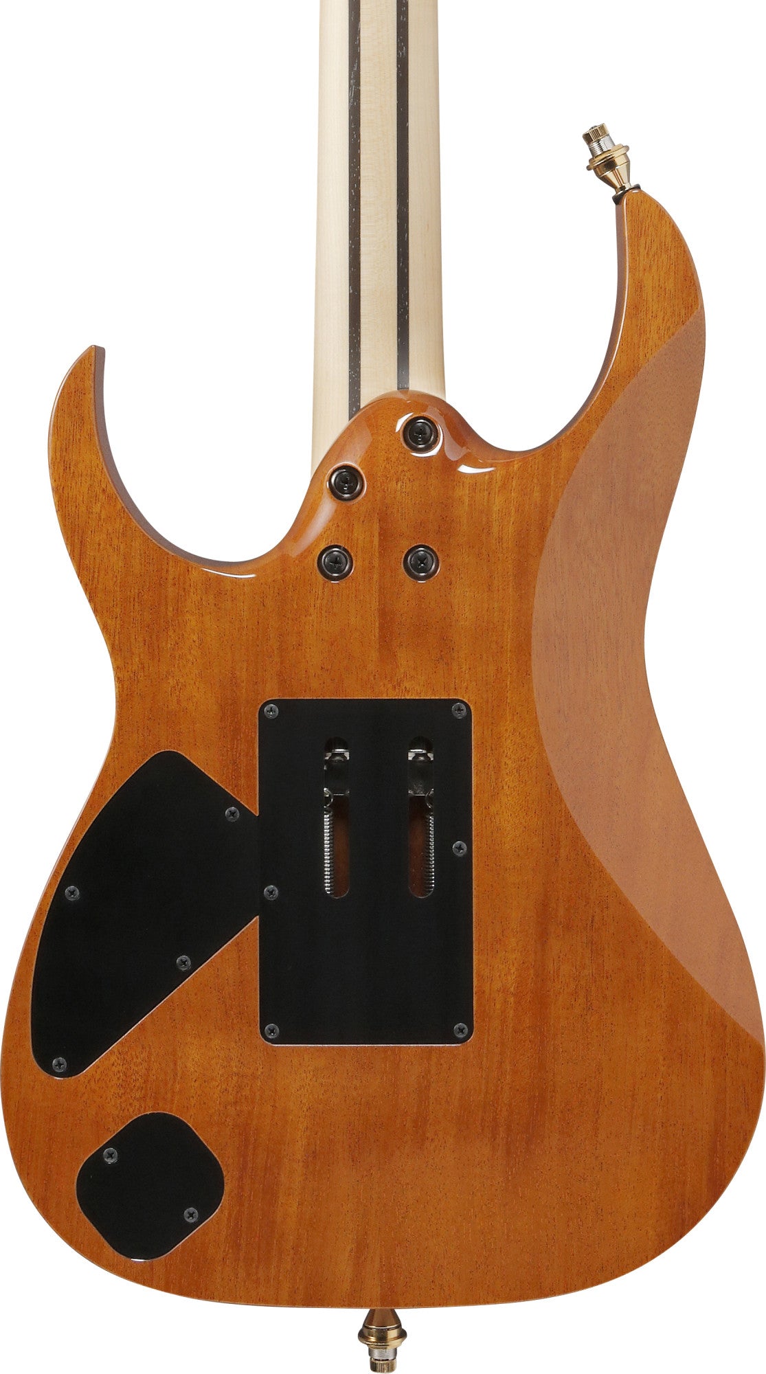 IBANEZ RG Series Electric Guitar 6 String Antique Brown RG421HPAMA