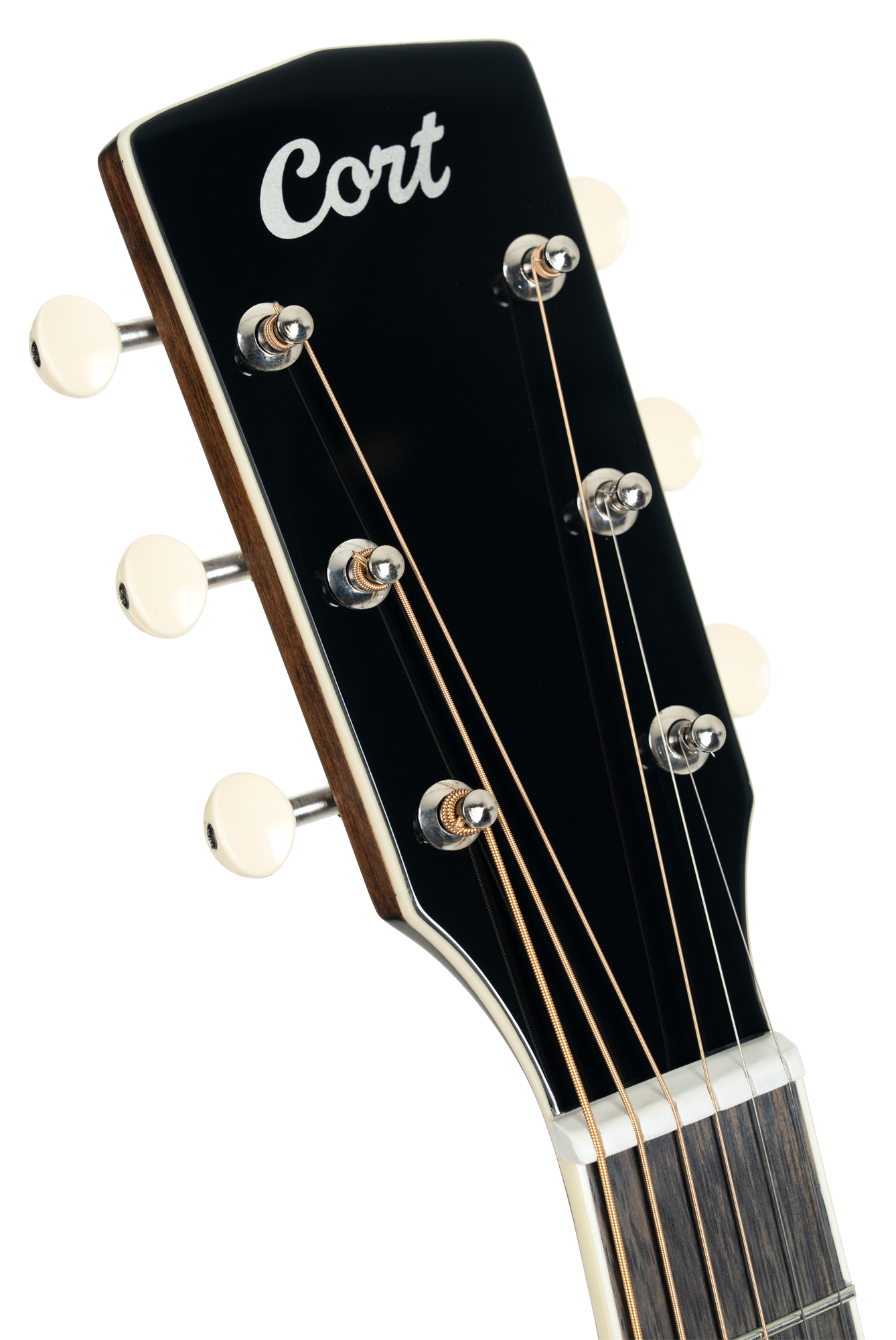 CORT acoustic guitar, SFX-Myrtlewood, natural high gloss, preamp, COSFXMYRTLEN