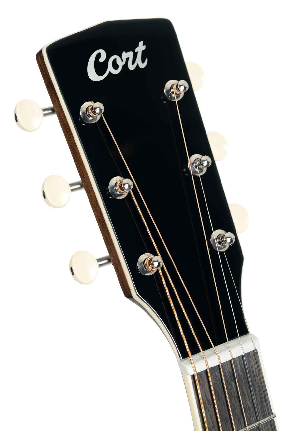 CORT acoustic guitar, SFX-Myrtlewood, natural high gloss, preamp, COSFXMYRTLEN