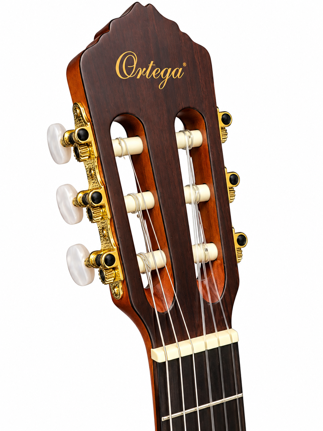 Ortega Konzertgitarre R10CT-LTD