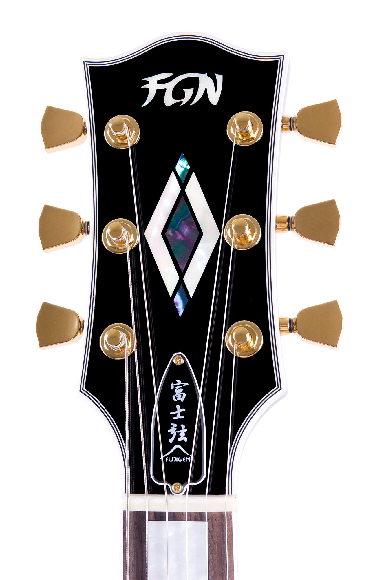 FGN E-Gitarre, Neo Classic LC10, Black, Tasche