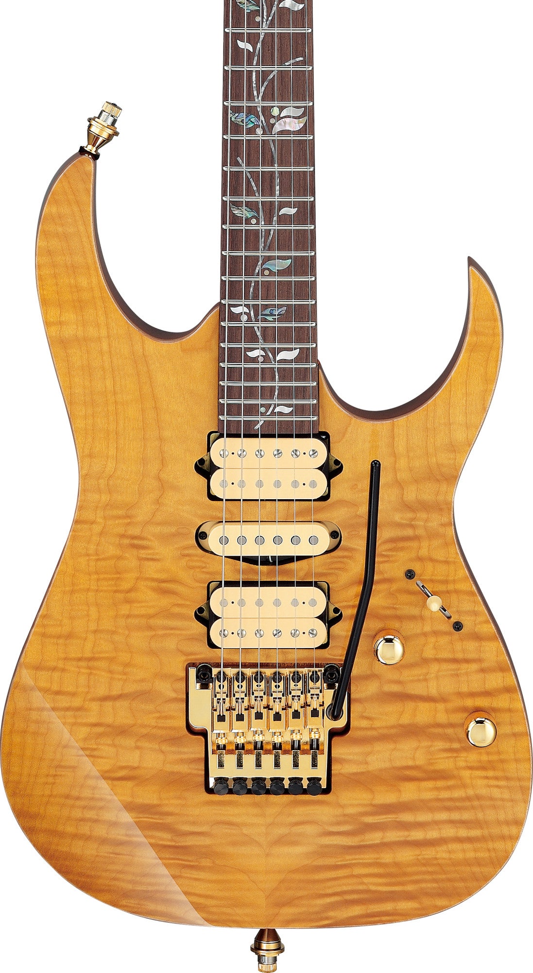 IBANEZ RG Series Electric Guitar 6 String Antique Brown RG421HPAMA