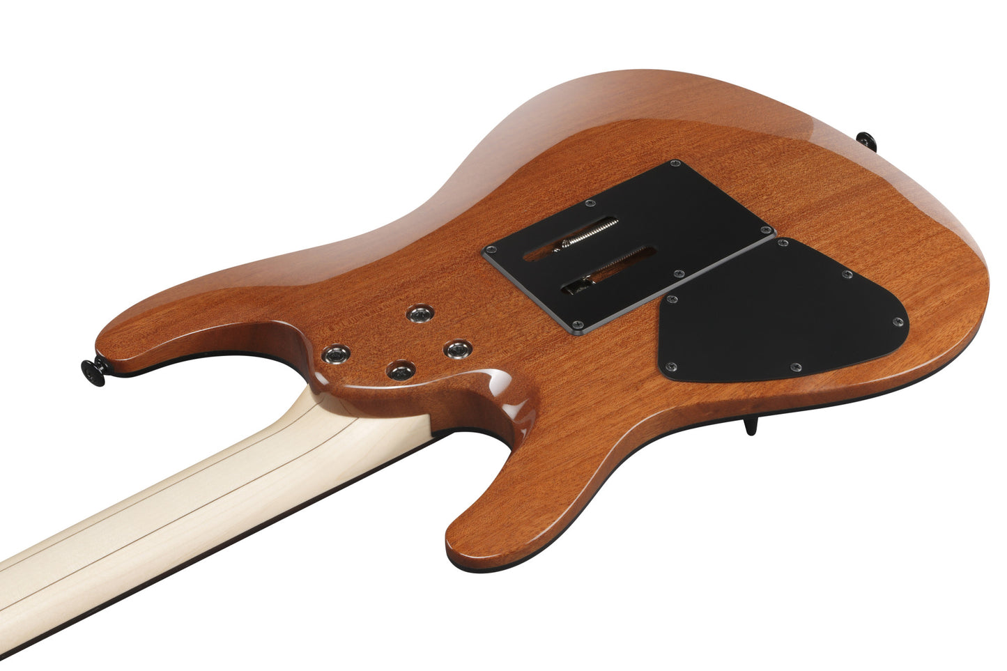 IBANEZ RG Series Electric Guitar 6 String Antique Brown RG421HPAMA