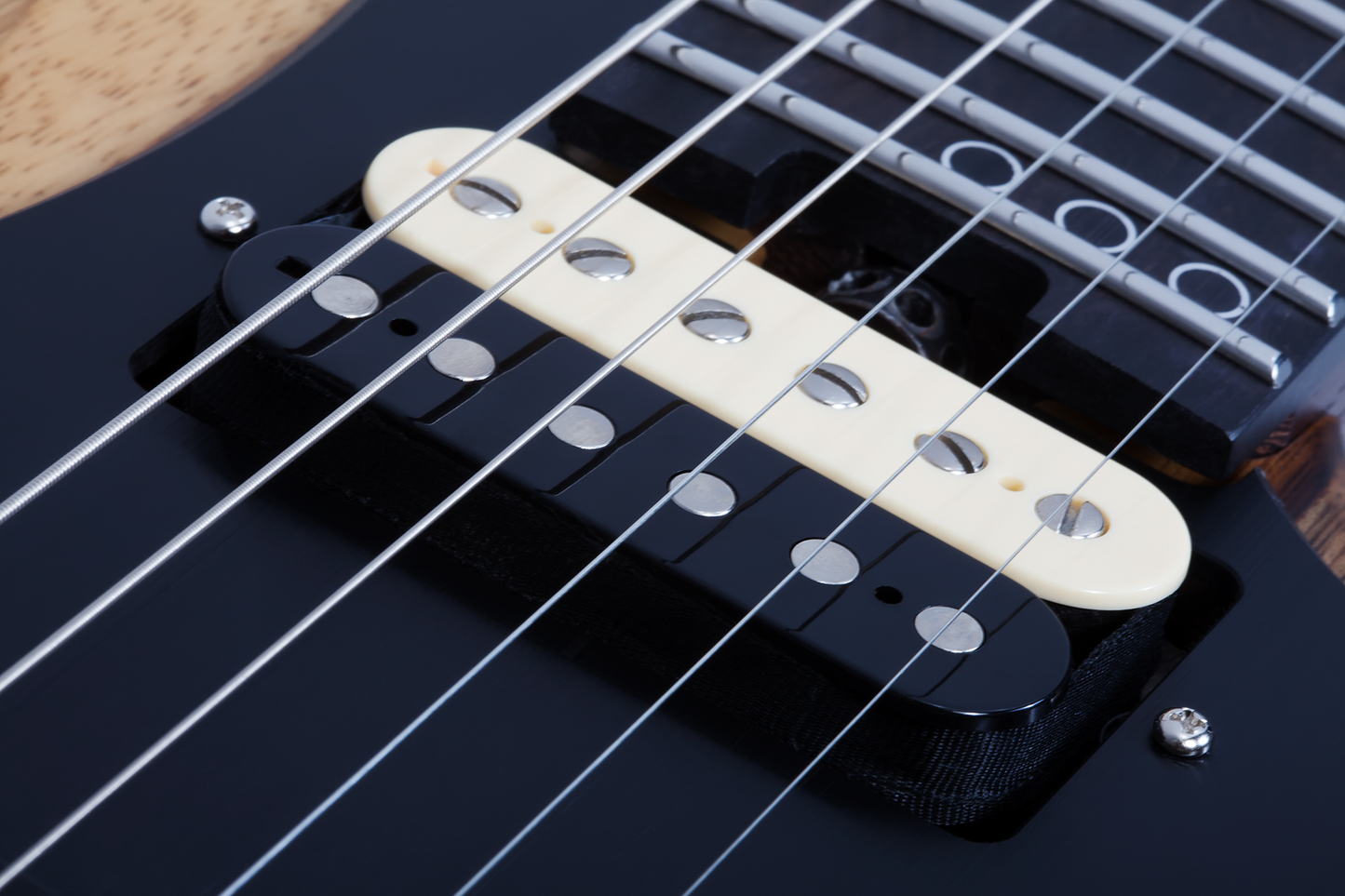 SCHECTER E-Gitarre, Sun Valley Super Shredder Exotic FR, Black Limba