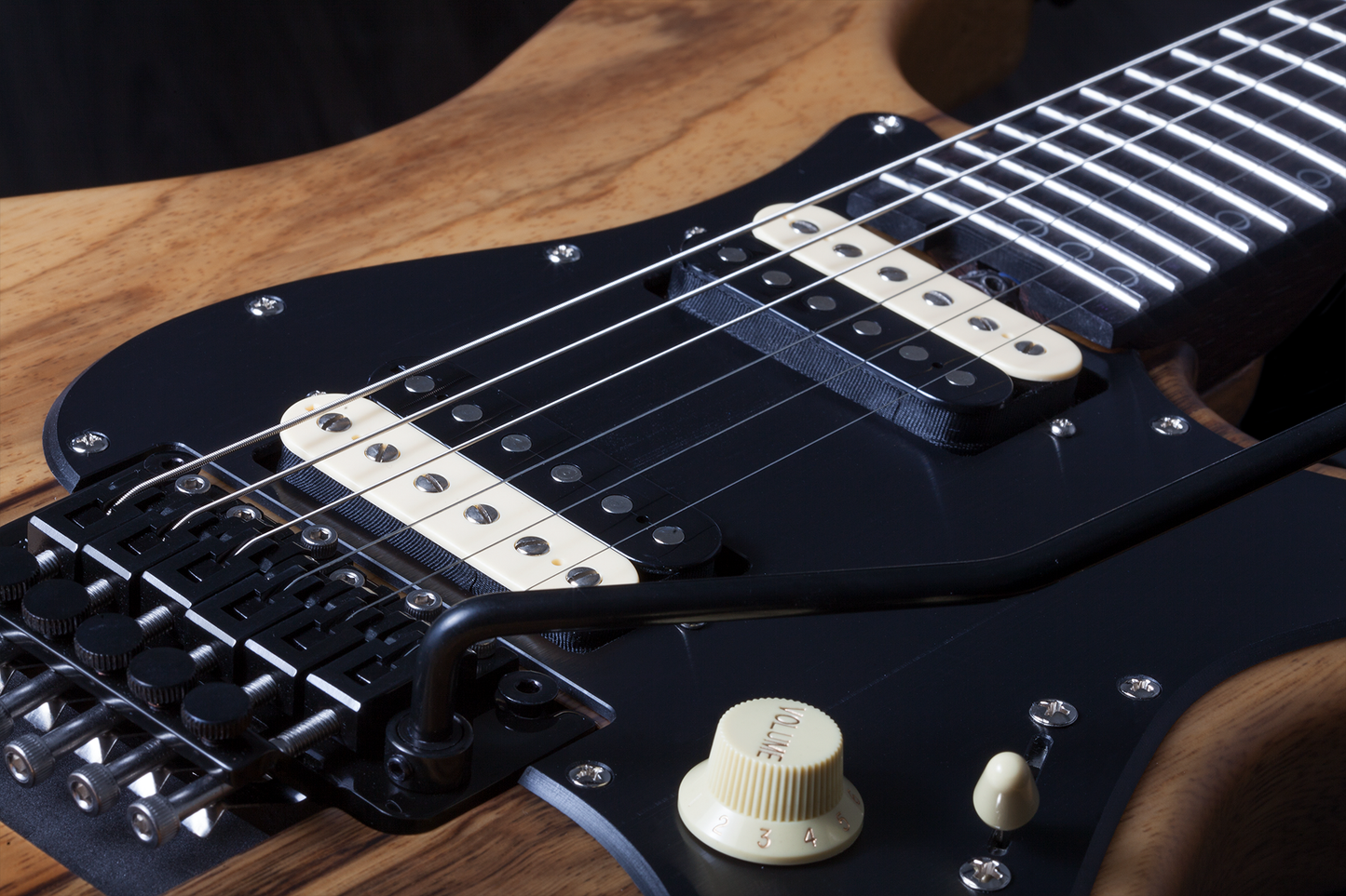 SCHECTER E-Gitarre, Sun Valley Super Shredder Exotic FR, Black Limba