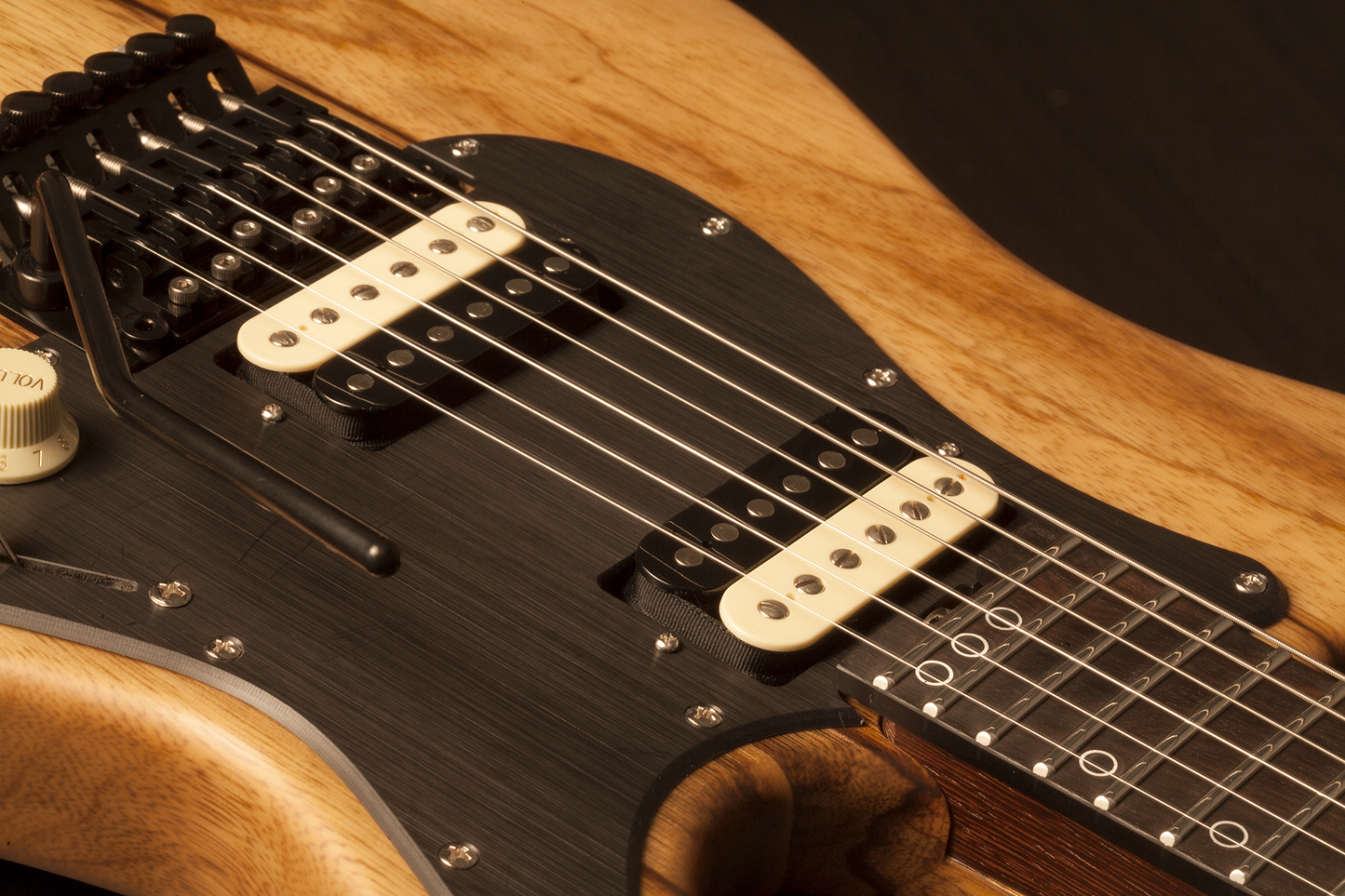 SCHECTER E-Gitarre, Sun Valley Super Shredder Exotic FR, Black Limba