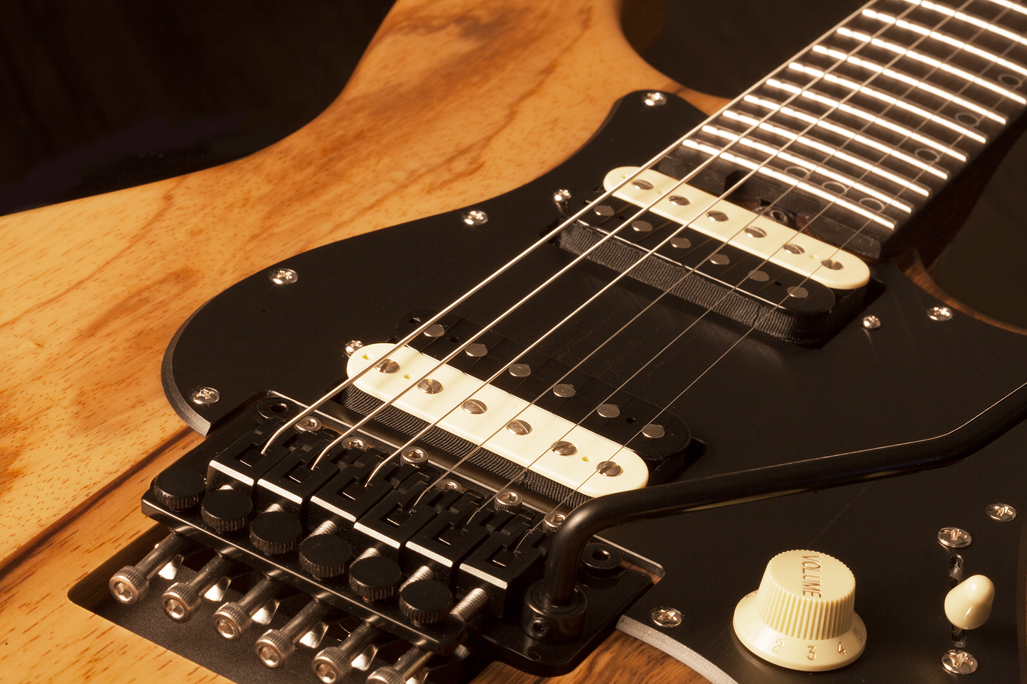 SCHECTER E-Gitarre, Sun Valley Super Shredder Exotic FR, Black Limba