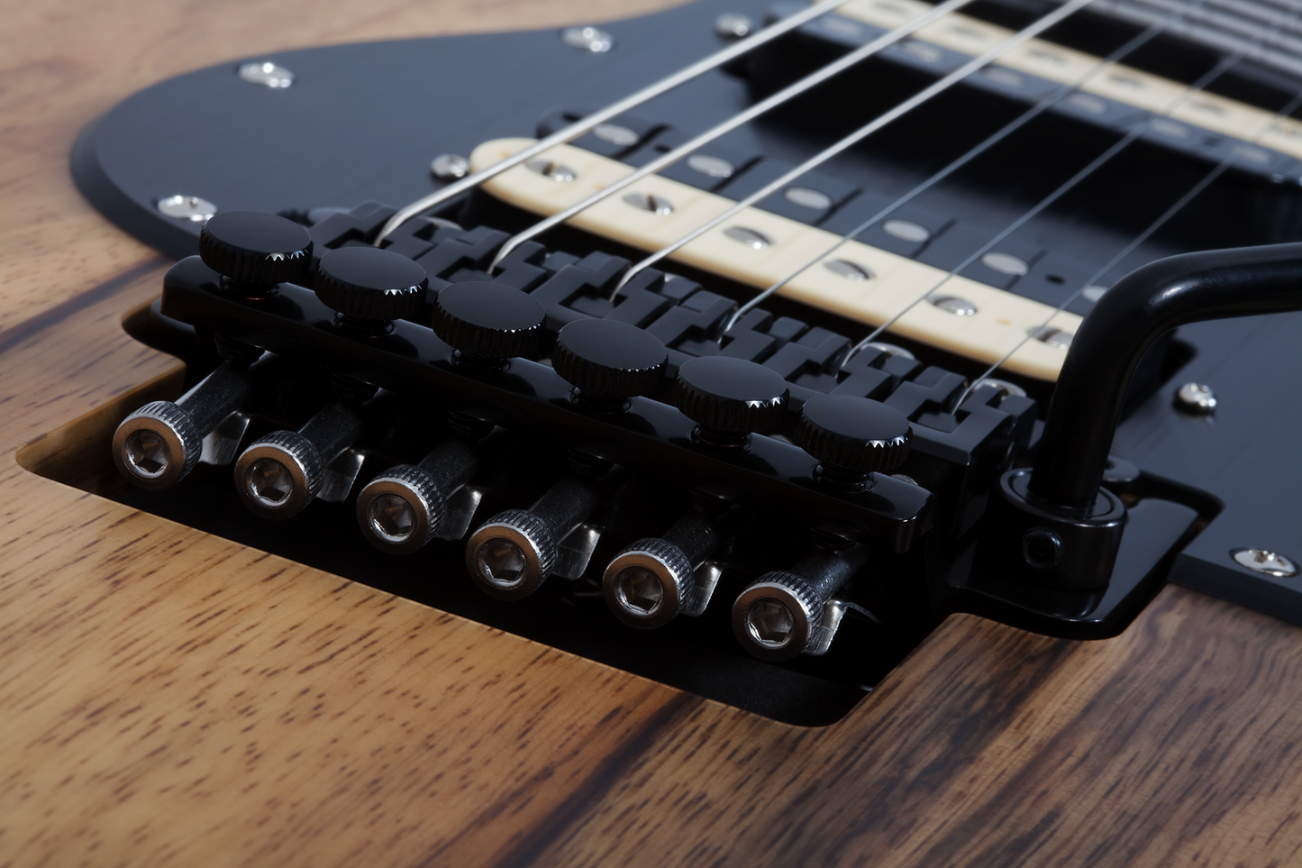 SCHECTER E-Gitarre, Sun Valley Super Shredder Exotic FR, Black Limba