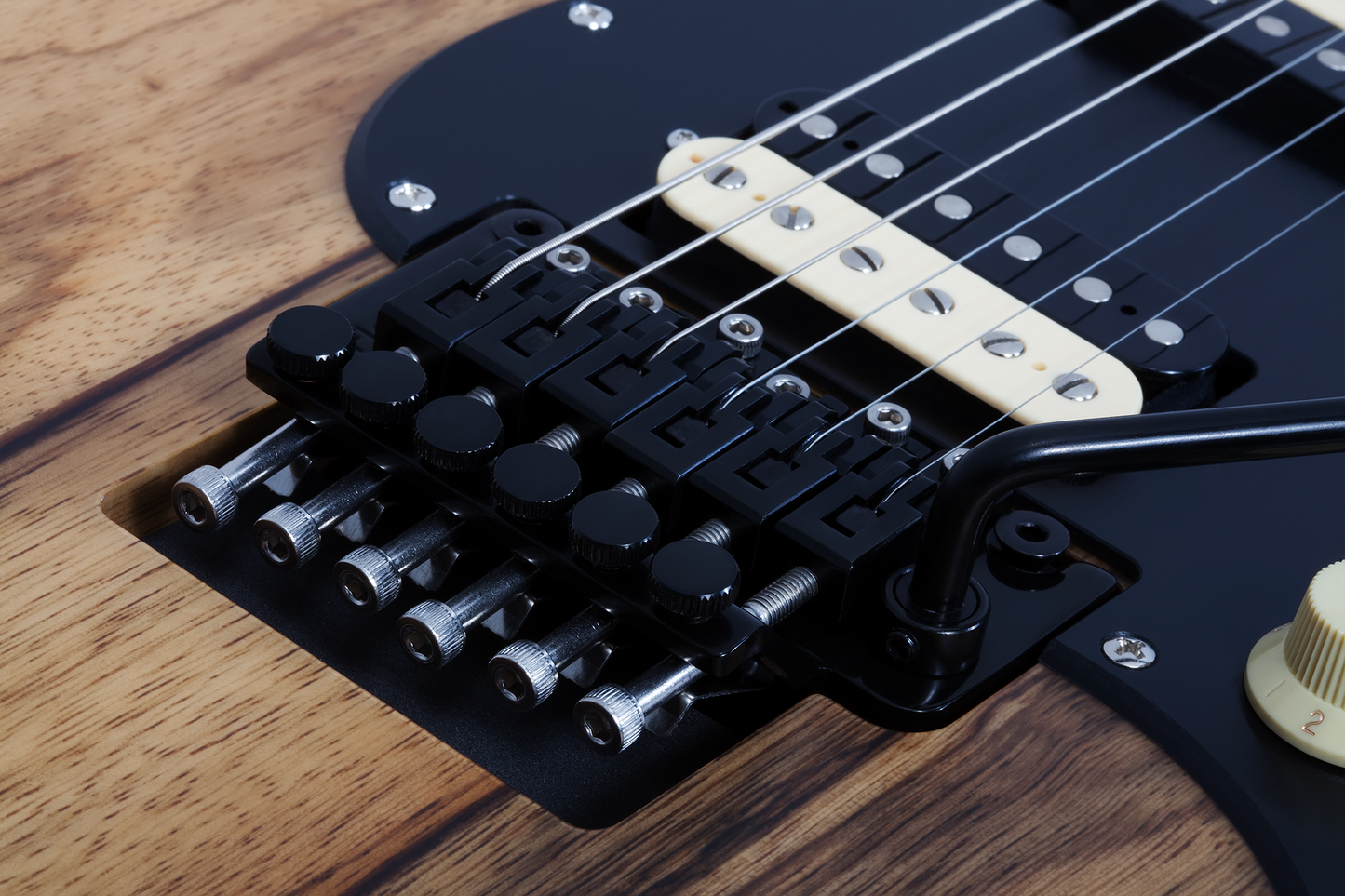 SCHECTER E-Gitarre, Sun Valley Super Shredder Exotic FR, Black Limba