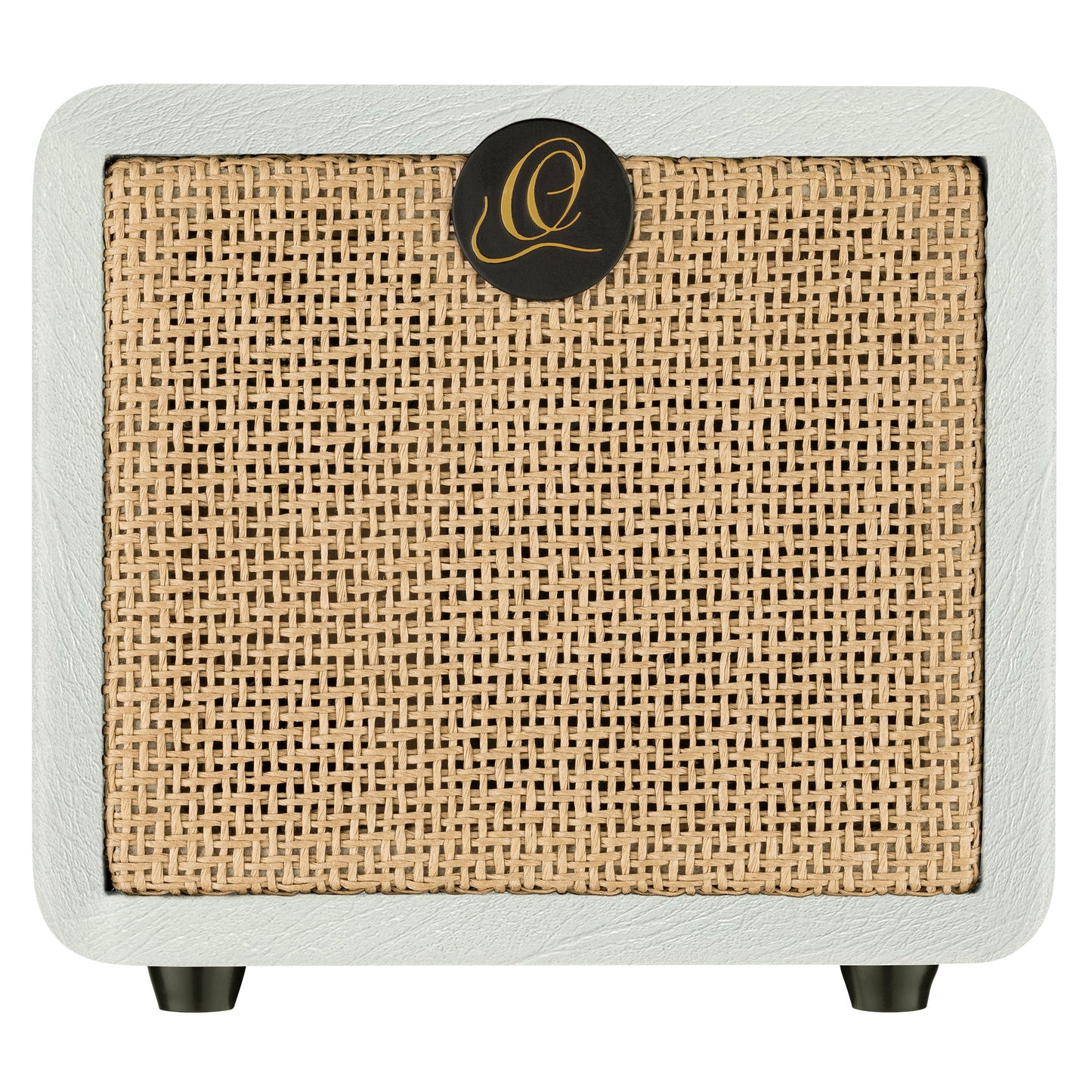 PTWO-LTD ORTEGA Amplification Series Bluetooth-Verstärker/Lautsprecher mit Effekten – 12 Watt