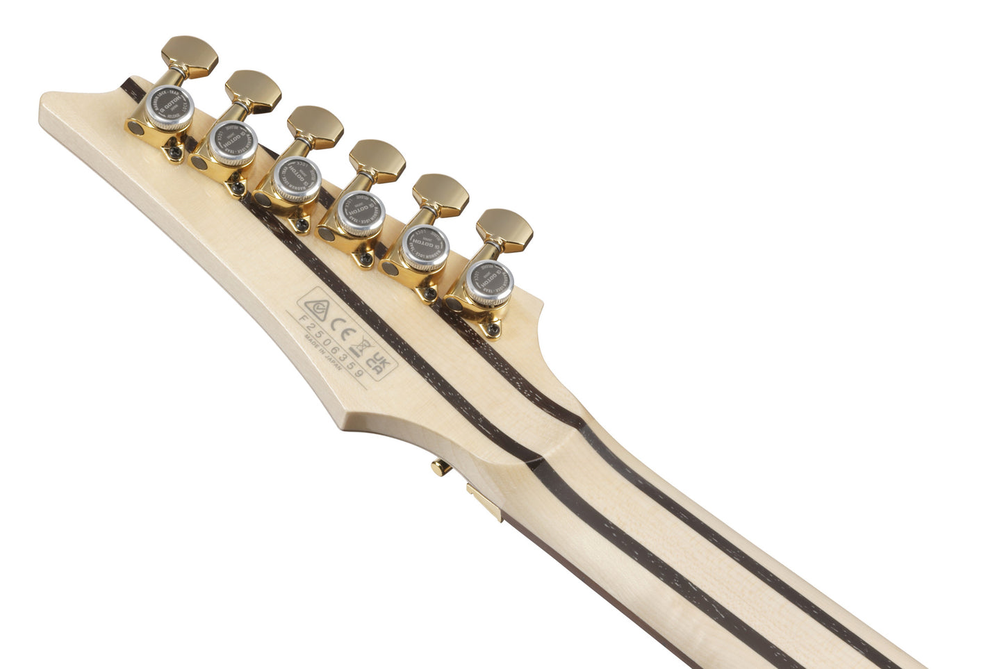 IBANEZ RG Series Electric Guitar 6 String Antique Brown RG421HPAMA