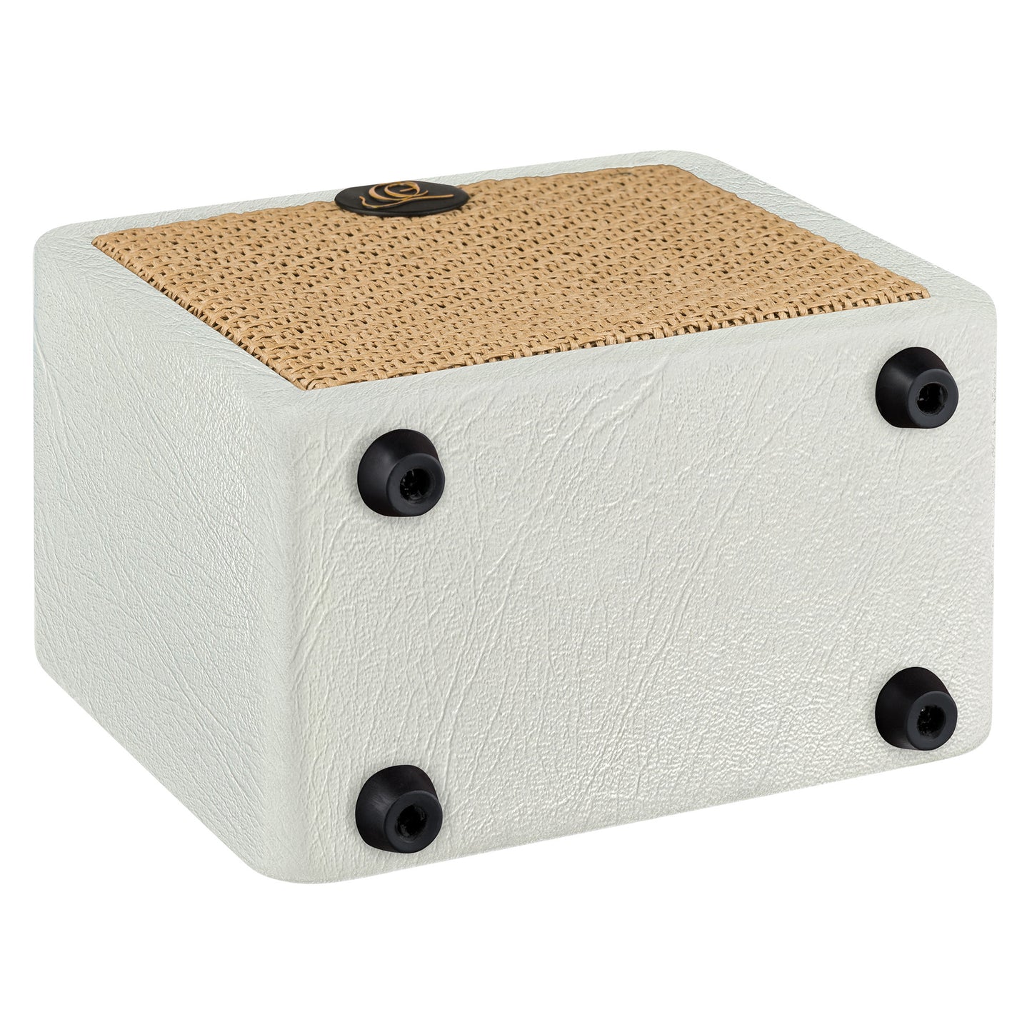 PTWO-LTD ORTEGA Amplification Series Bluetooth-Verstärker/Lautsprecher mit Effekten – 12 Watt