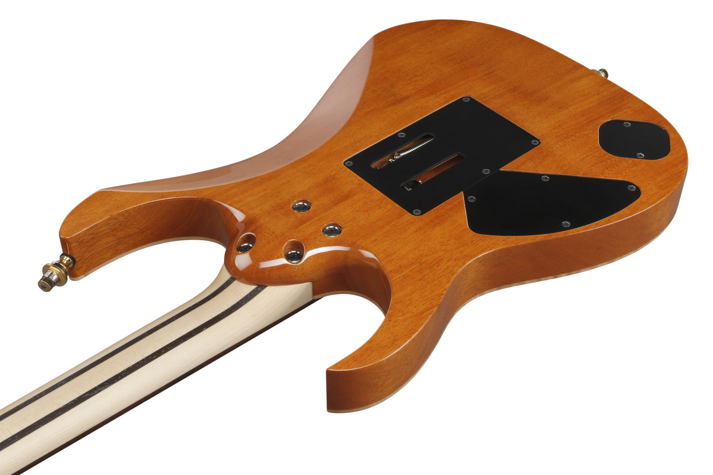 IBANEZ RG Series Electric Guitar 6 String Antique Brown RG421HPAMA