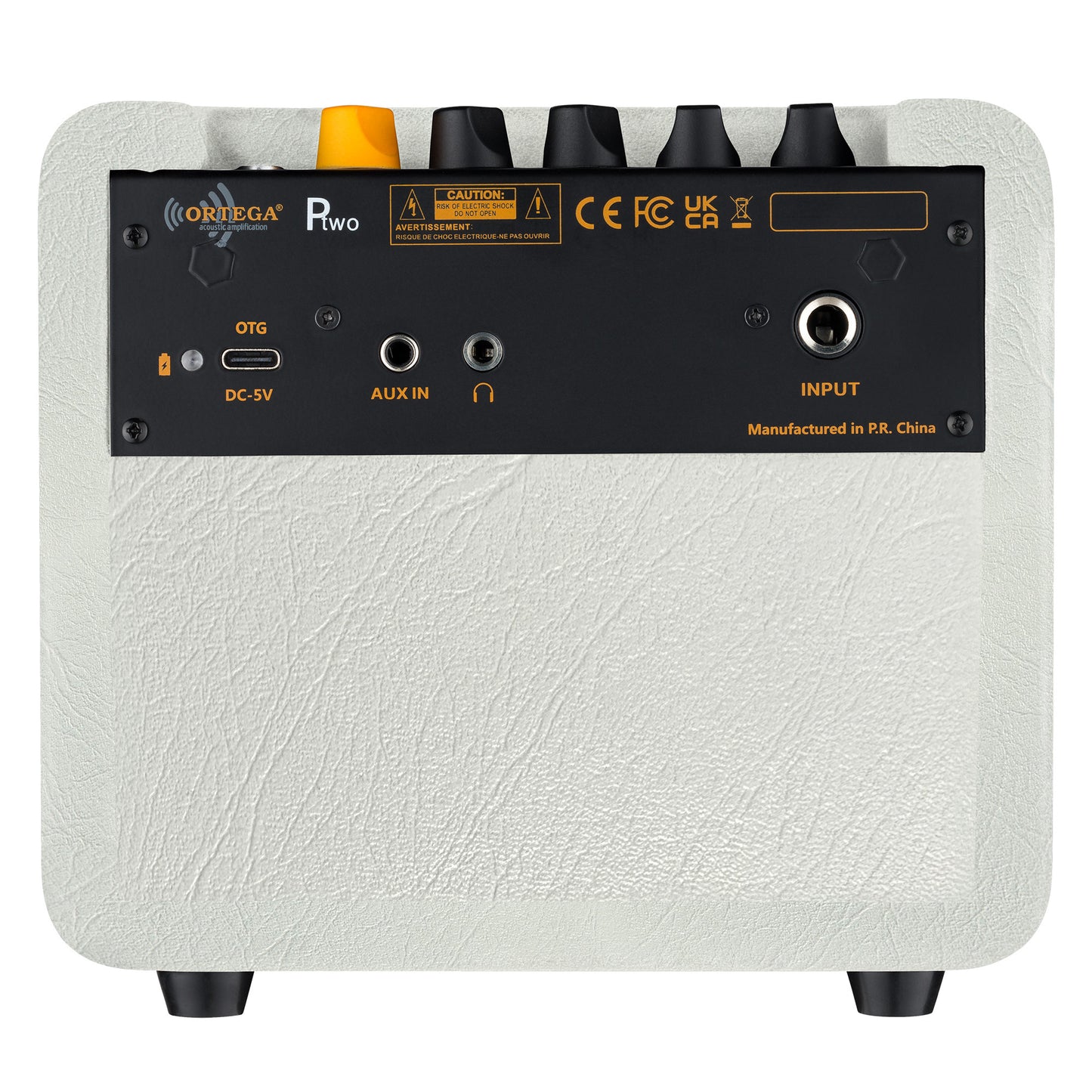 PTWO-LTD ORTEGA Amplification Series Bluetooth-Verstärker/Lautsprecher mit Effekten – 12 Watt