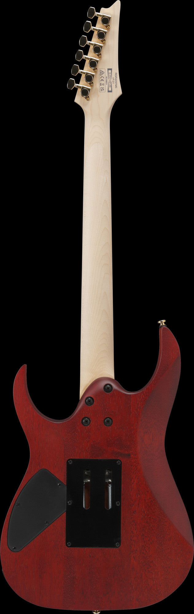 RGR420FMSPTGF IBANEZ RGR E-Gitarre 6-String - Transparent Gray Flat