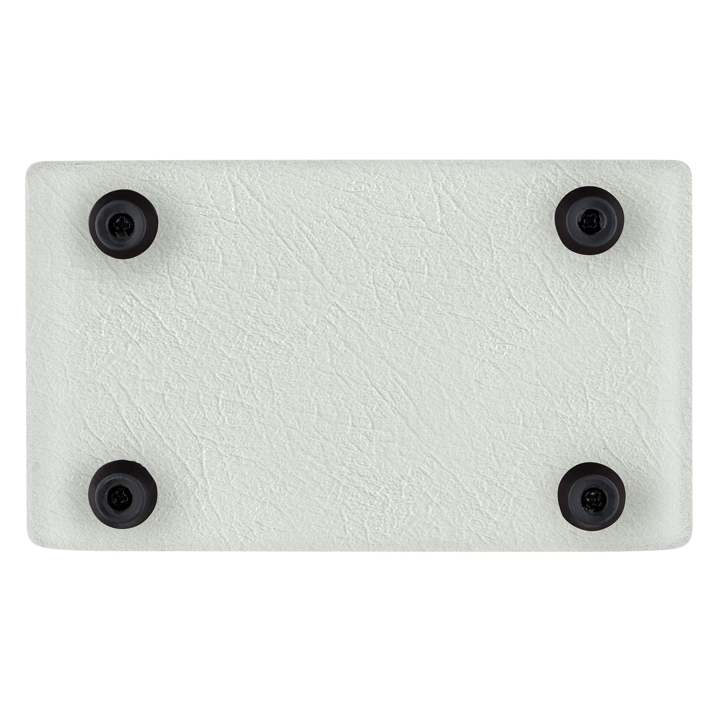 PTWO-LTD ORTEGA Amplification Series Bluetooth-Verstärker/Lautsprecher mit Effekten – 12 Watt