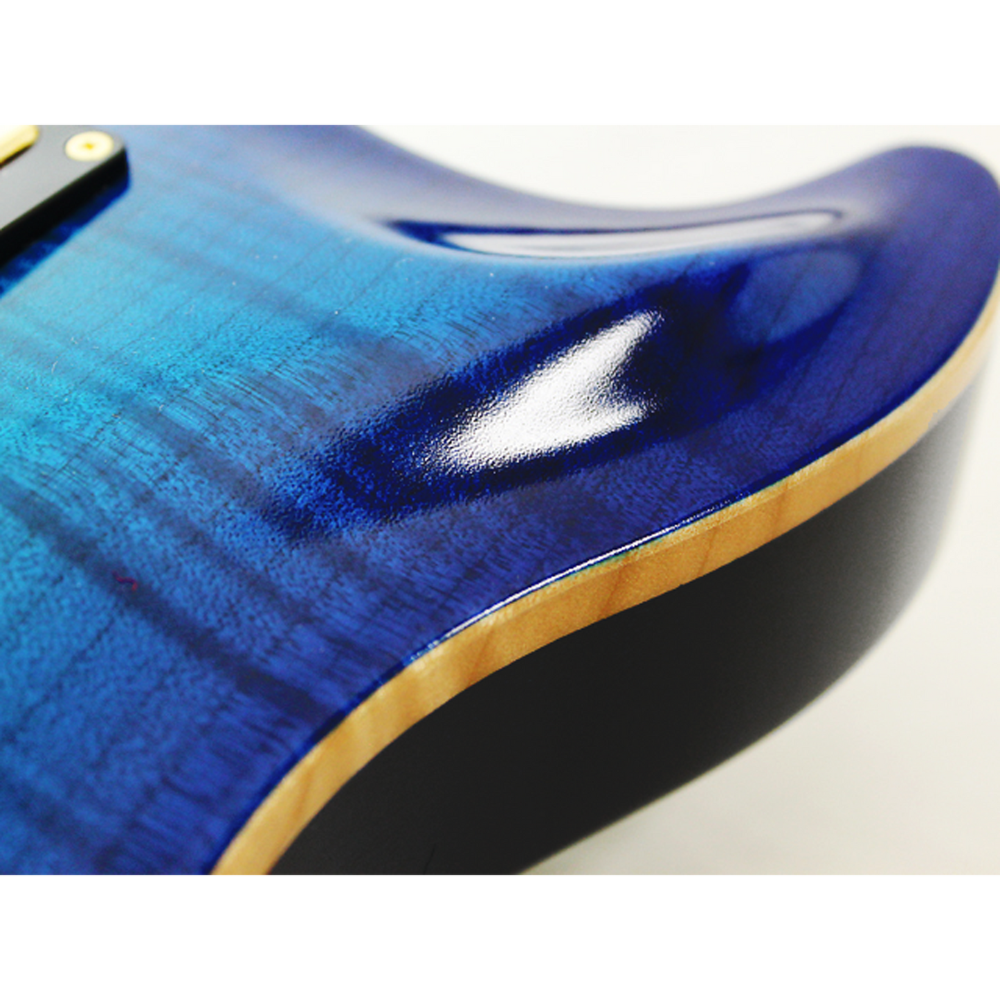 FGN E-Gitarre, Expert Rise Michael Sagmeister Special Edition