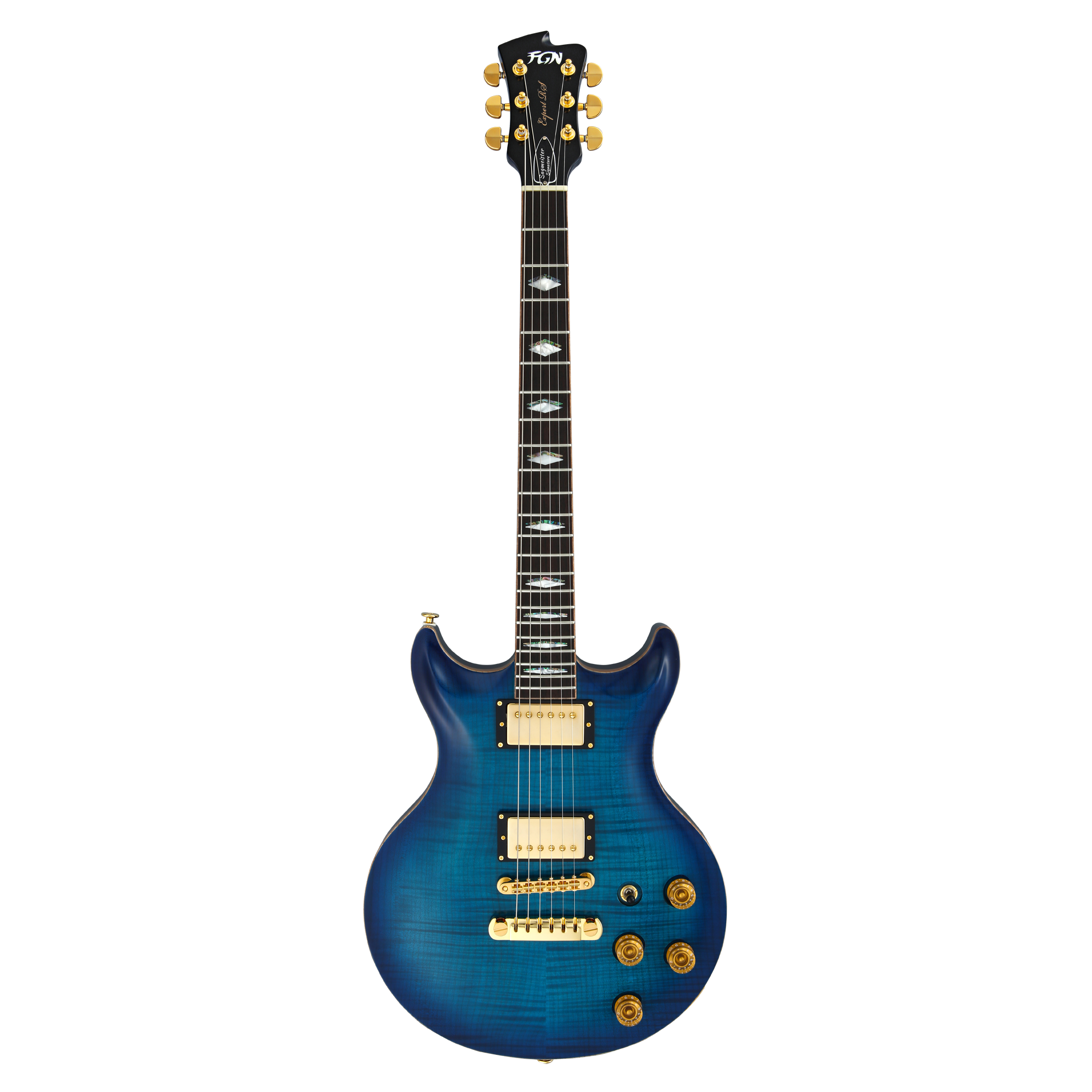 FGN E-Gitarre, Expert Rise Michael Sagmeister Special Edition – ACTION ...