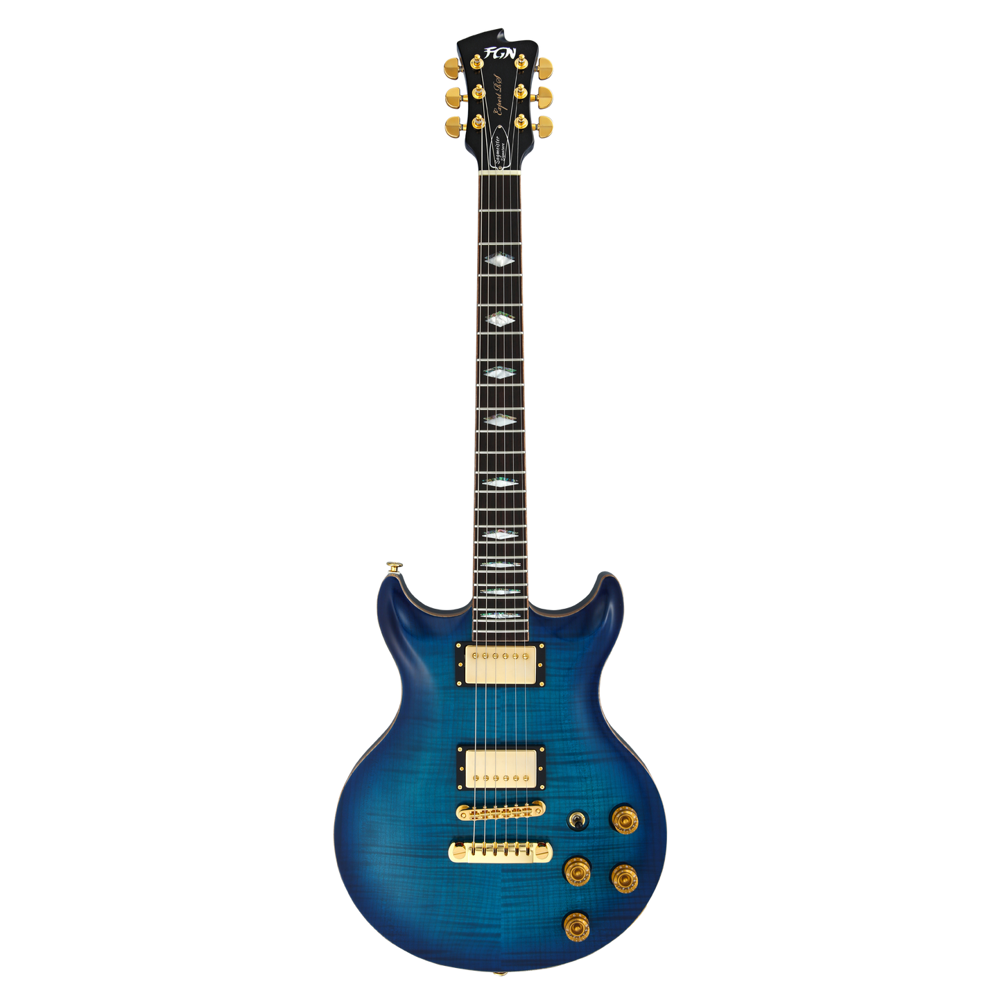 FGN E-Gitarre, Expert Rise Michael Sagmeister Special Edition