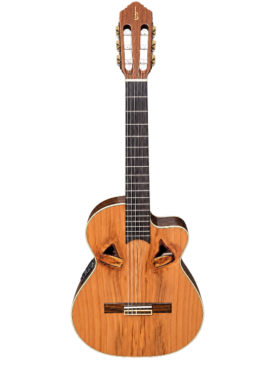 Classical guitar APC, solid, PAAGTC10RW1