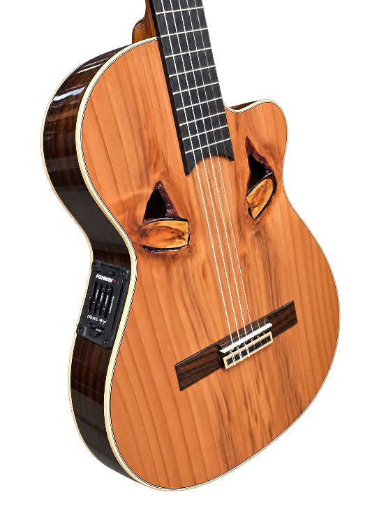 Classical guitar APC, solid, PAAGTC10RW1