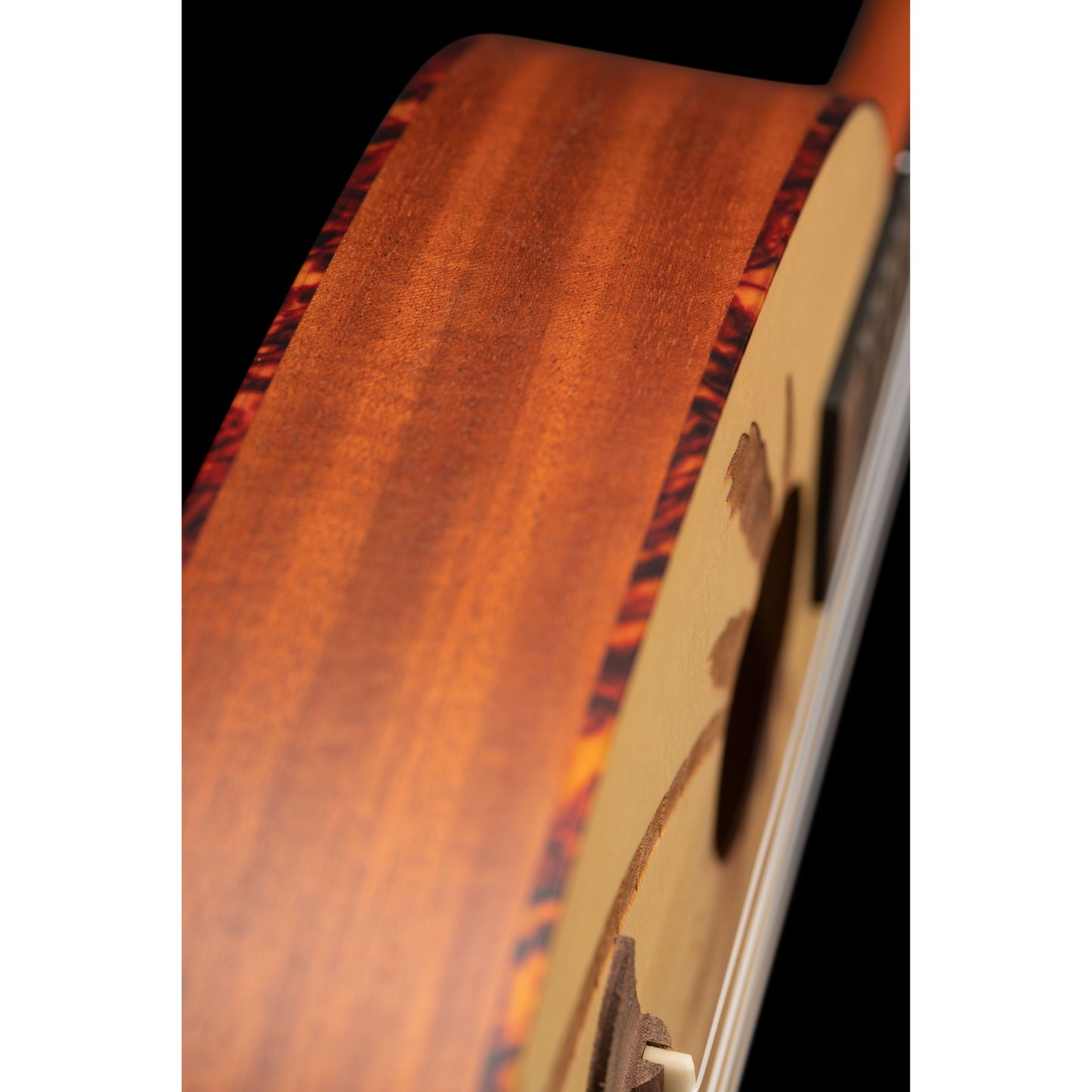 924331_RUPA5_web_with_background_detail_04